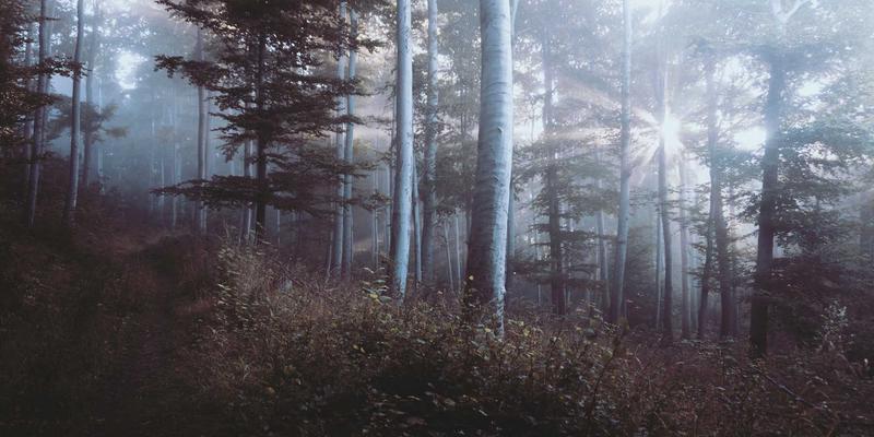 Cambodia25: Unveiling the Heritage and Soul of Phnom Penh