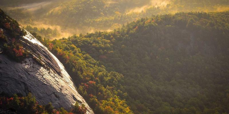 从吴哥神庙到大银幕：柬埔寨电影产业复兴之旅