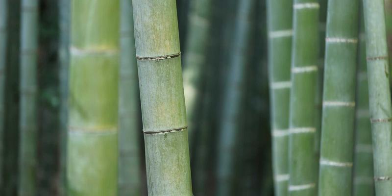 从吴哥窟到现代诊室：柬埔寨公共卫生的双重遗产与转型挑战