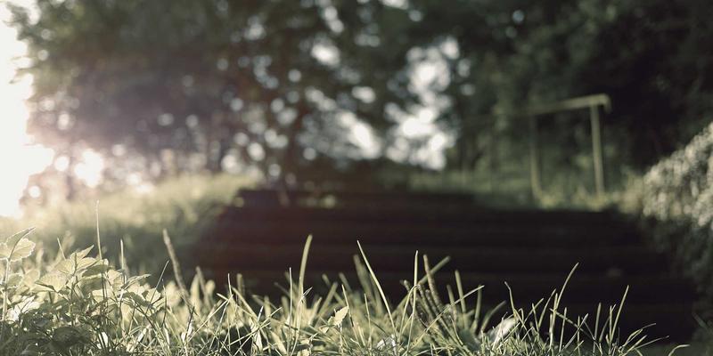 探寻柬埔寨的佛教传统：寺庙旅游中僧侣社会角色的现代变迁