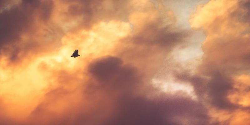 探秘暹粒：穿越千年时光，解码高棉帝国寺庙与文化的永恒魅力