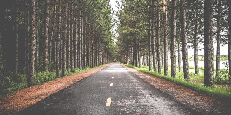 探秘洞里萨湖：超越吴哥窟的柬埔寨水上奇观与生态警钟