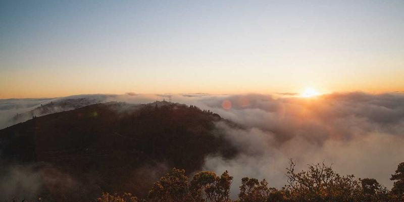 暹粒之外：柬埔寨橡胶种植园如何重塑旅游、土地与全球供应链