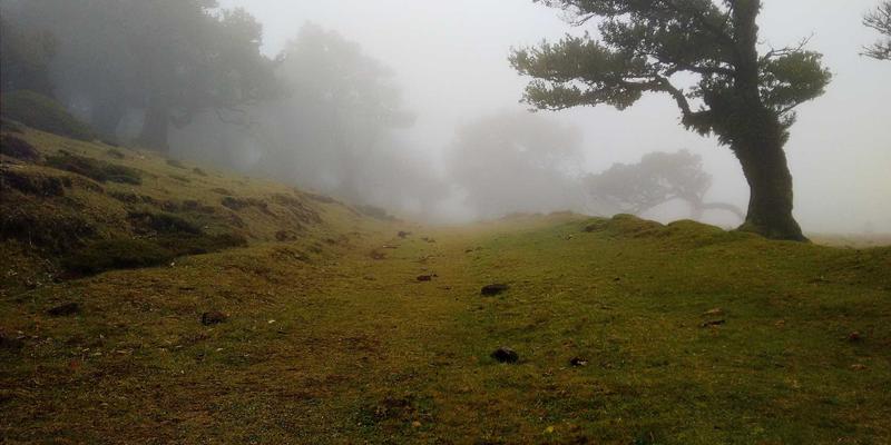柬埔寨小额信贷的繁荣与隐忧：普惠金融如何影响农村家庭生计与文化遗产