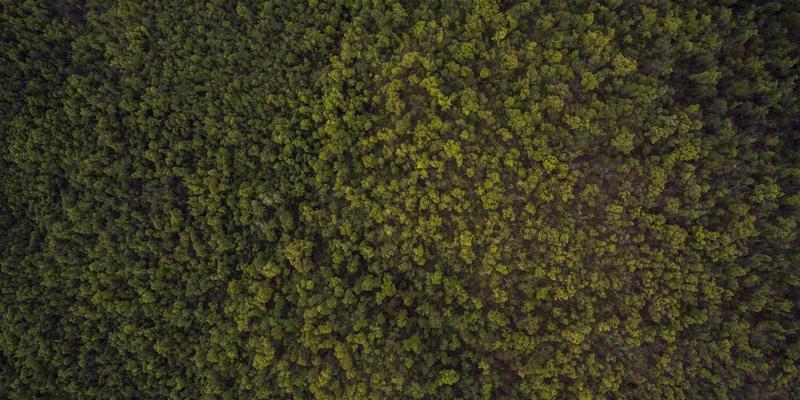 柬埔寨:穿越千年时光的旅行,从吴哥窟到现代魅力