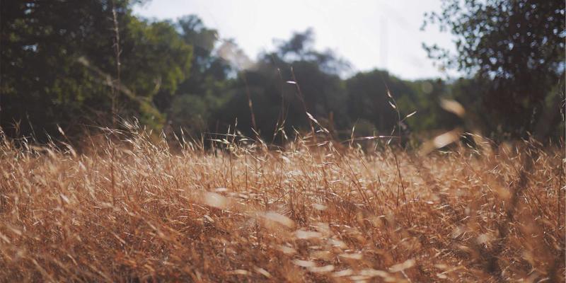 柬埔寨进阶之旅：穿越高棉文明，探秘暹粒之外的千年回响