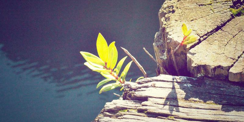 超越吴哥窟：柬埔寨金融科技如何以移动支付连接古老高棉文化与现代旅游经济