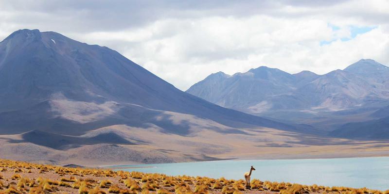 马德望：高棉文化与法国殖民建筑的时空交响
